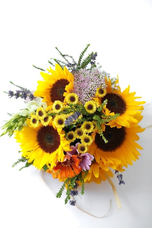sunflower, bouquet, photo studio, arrangement, decoration, flowers, blossom, petal, flower, yellow