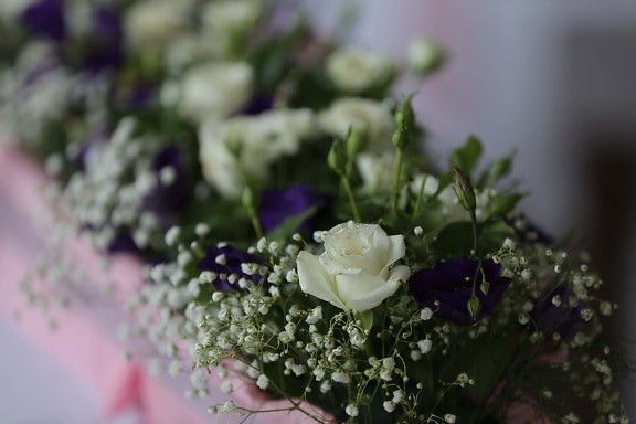 vit blomma, bukett, Posas, blommor, arrangemang, bröllop, Kärlek, blomma, dekoration, ökade