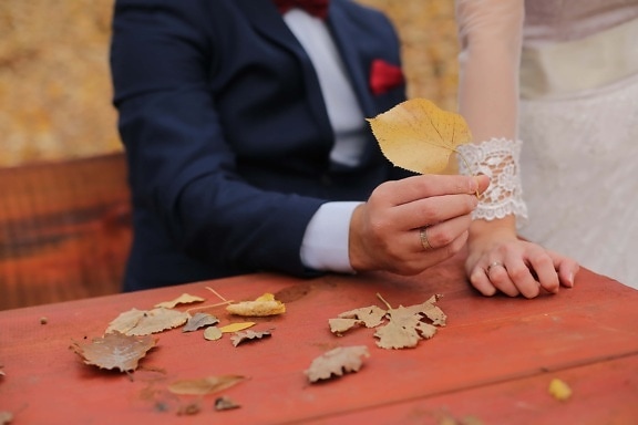 brun jaunâtre, feuilles, saison de l'automne, feuilles jaunes, la mariée, mains, jeune marié, femme, Loisirs, bois