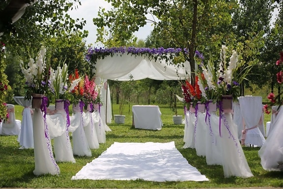 ковер, белый, место свадьбы, люкс, элегантный, зелень, красивые цветы, украшения, романтический, Церемония