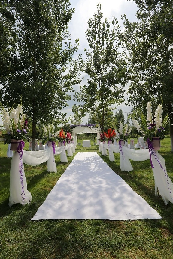 місце весілля, відкритий, сад, килим, трава, білий, газон, елегантний, дерево, парк