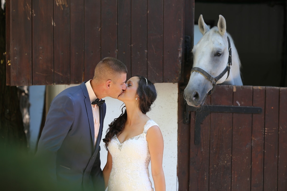 barn, horse, bride, groom, just married, happiness, countryside, kiss, village, farmhouse