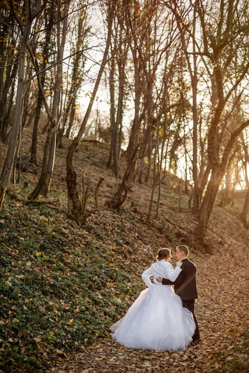 husband, wife, forest path, just married, togetherness, wedding, tree, bride, love, couple