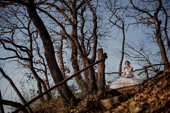 花嫁, 一人で, 丘の上, 思う, フォレスト, ツリー, 木, 木材, ランドス ケープ, 女の子