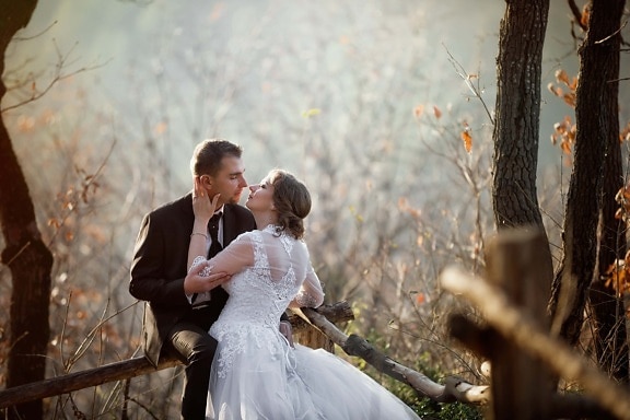 friss házasok, erdő, csók, szerelem, házasság, esküvői ruha, napos, életmód, esküvő, vőlegény