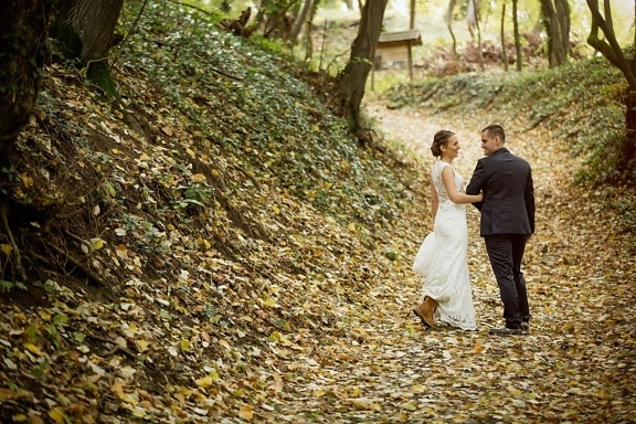 bride, groom, hillside, forest path, aspen, autumn season, leaf, love, nature, tree