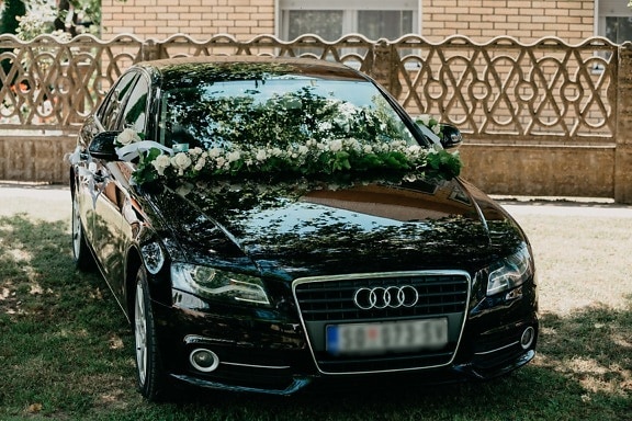Audi, noir, mariage, cérémonie, sedan, luxe, voiture, classique, véhicule, transport