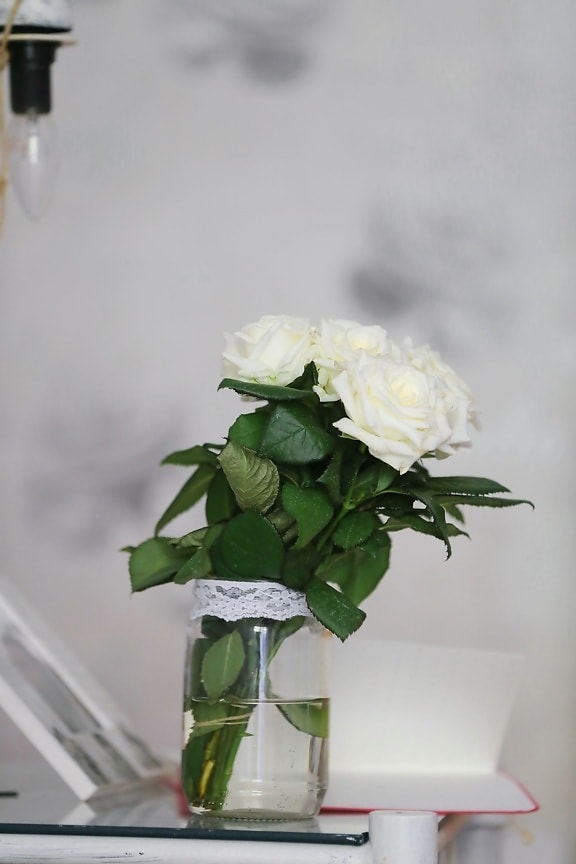 rosas, flor branca, minimalismo, jar, simples, flores, flor, buquê, decoração, folha