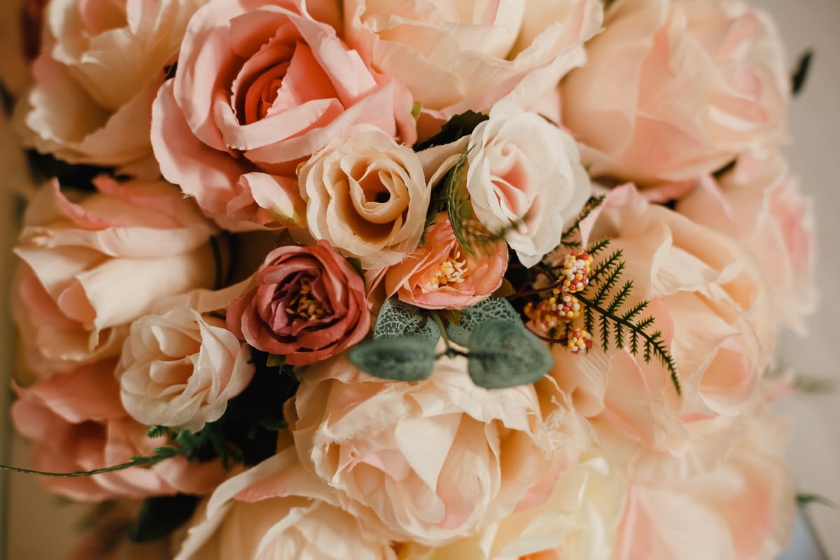 Rose, bouquet, Rosato, pastello, matrimonio, rosa, romanza, amore, matrimonio, sposo