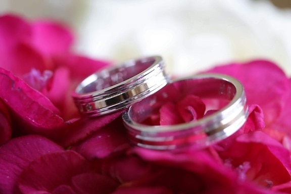 macro, anelli, anello di nozze, petali, Rosato, fiore, amore, romanza, rosa, in casa