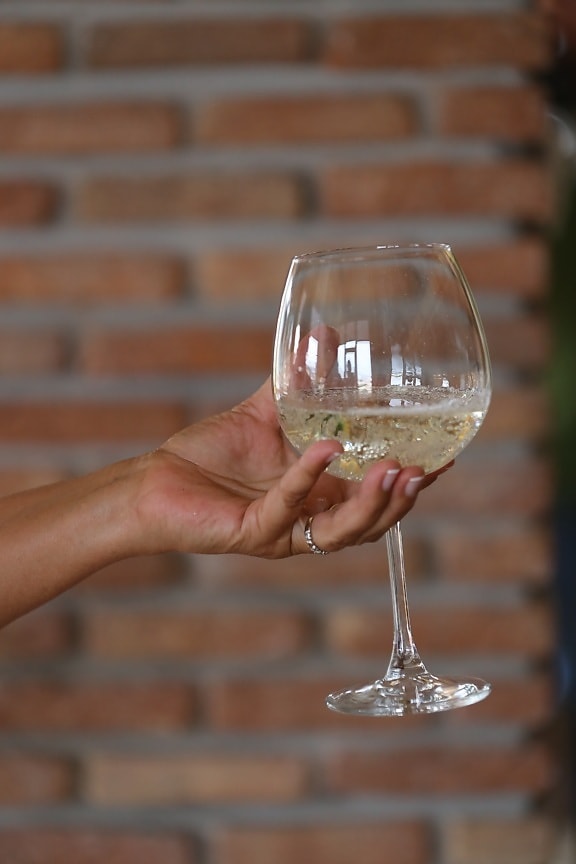white wine, champagne, glass, crystal, hand, holding, beverage, glasses, alcohol, drink