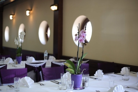 Лилаво, орхидея, виолетово, саксия, елегантна, трапезария, закусвалня, ресторант, трапезария, маса