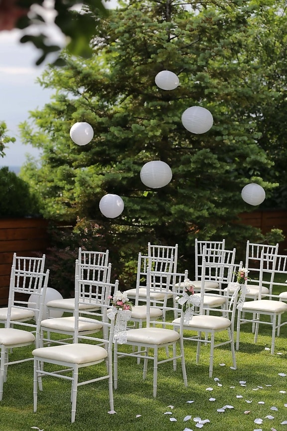 χώρος γάμου, καρέκλες, κομψό, λευκό, χλόη, Κήπος, καρέκλα, δέντρο, κάθισμα, πάρκο