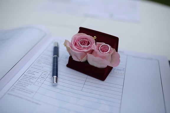 snubní prsten, dokument, papír, tužka, manželství, papírování, zátiší, psaní, uvnitř, svatba