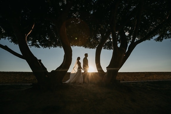 la mariée, jeune marié, jeunes mariés, taches solaires, marche, coucher de soleil, silhouette, arbre, aube, rétro-éclairé