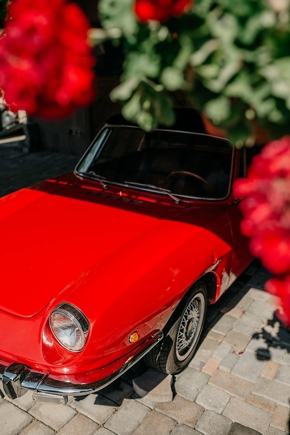 sports car, nostalgia, red, car, fancy, oldtimer, automobile, classic, coupe, vehicle