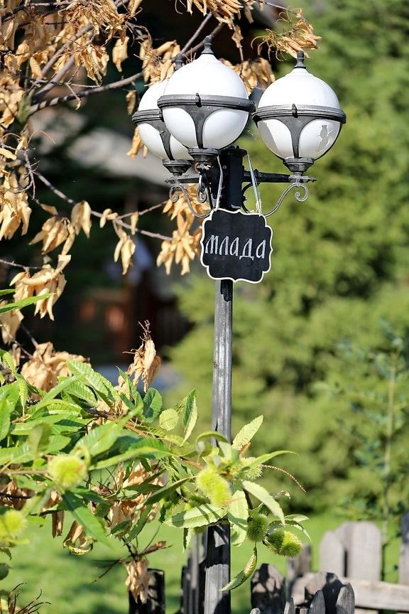 lamp, street, sign, tree, nature, hanging, leaf, outdoors, summer, lantern