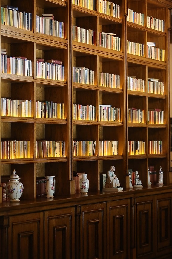 library, home, bookshelf, books, interior decoration, cabinet, book, shelf, furniture, bookcase