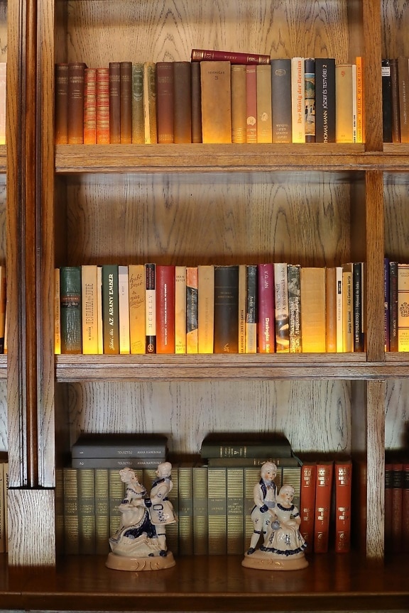 library, books, bookshelf, bookcase, wood, shelf, furniture, bookstore, knowledge, literature