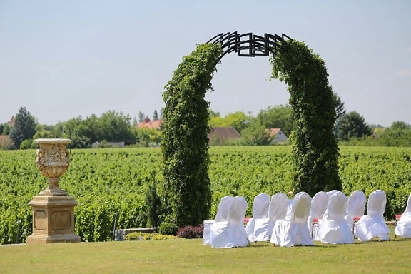 vineyard, wedding venue, outdoor, fancy, garden, grass, park, tree, architecture, landscape