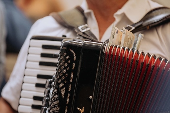 accordion, banknote, music, instrument, musician, band, retro, classic, concert, indoors