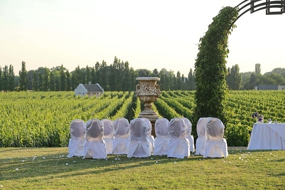 wedding venue, vineyard, agriculture, farmland, vintage, rural, grass, outdoors, garden, people
