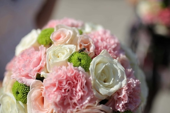 insect, wasp, detail, wedding bouquet, bouquet, wedding, decoration, elegant, arrangement, romance
