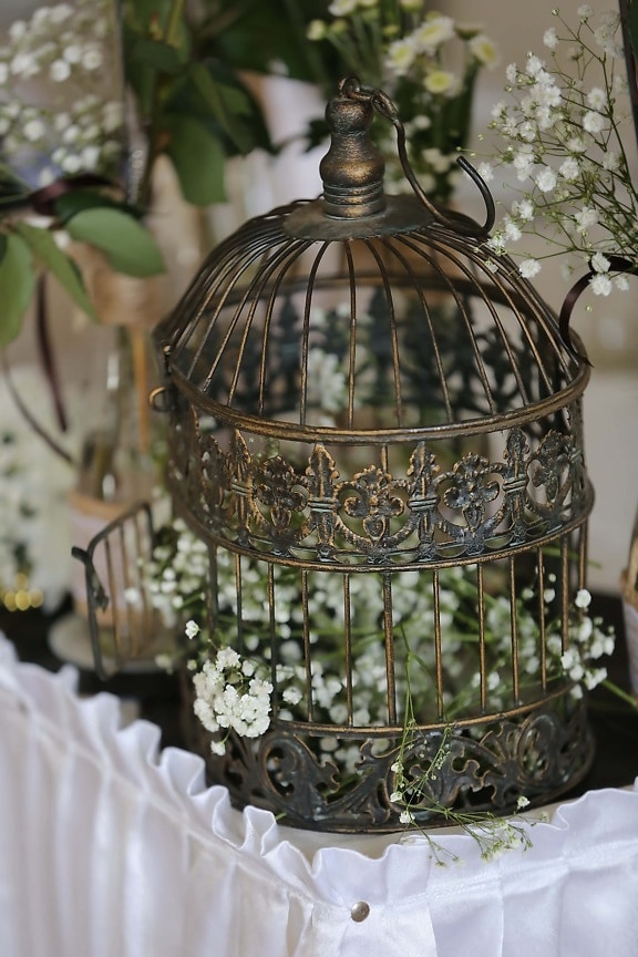 metal, fancy, cage, decoration, still life, flower, color, traditional, design, luxury