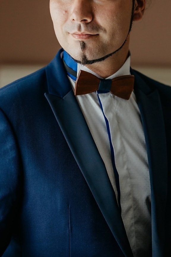 галстук-бабочка, Борода, смокинг, человек, лицо, современные, красивый, портрет, бизнесмен, галстук