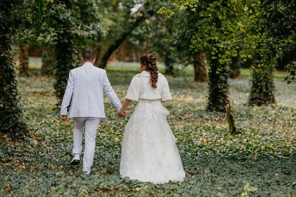 costume de mire, alb, rochie de mireasă, mersul pe jos, soţul, pădure, iederă, soţia, fată, căsătorit