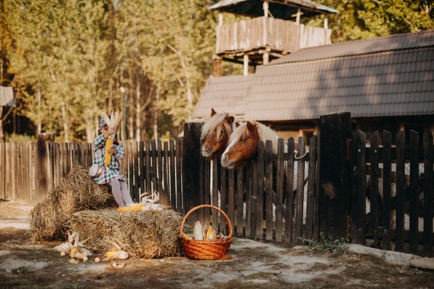 Imagem gratuita: agricultura, crian\u00e7a, casa de fazenda, rancho ...