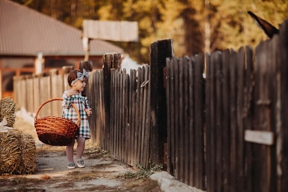 детство, село, дете, игриво, невинност, ползващи, ограда от колове, дървен материал, на открито, ограда