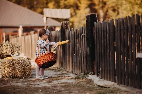 очарователни, дете, крайградски, село, ограда от колове, кошница ракита, хора, ограда, дървен материал, на открито