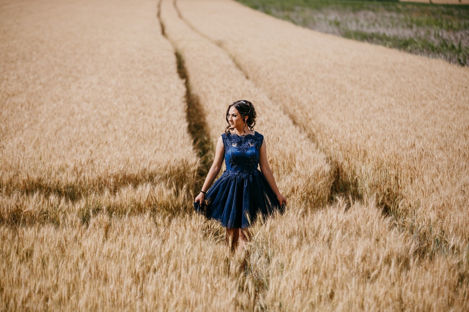 плаття, синій, чудова, ходьба, симпатична дівчина, wheatfield, літо, Пшениця, поле, дівчина