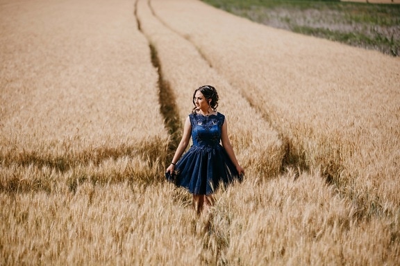 šaty, modrá, nádherná, chůze, hezké děvče, pšeničné pole, léto, pšenice, pole, děvče