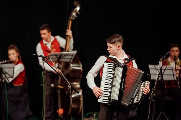 accordion, theater, performance, orchestra, performer, concert, music, instrument, musician, people