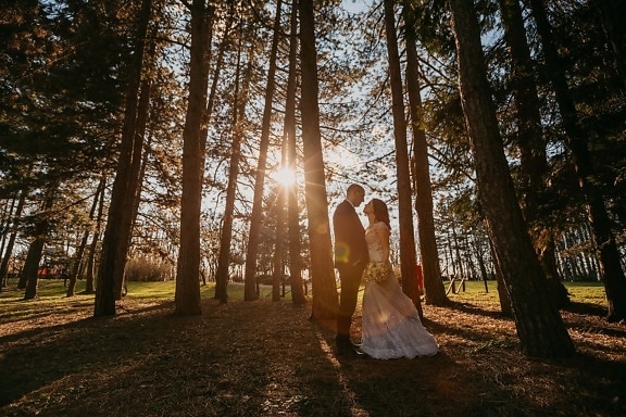 sunset, bride, sunrise, romantic, groom, just married, forest, shadow, backlight, park