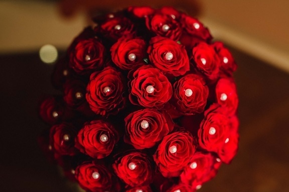 des roses, bouquet, amour, cadeau, perle, La Saint-Valentin, Rose, fleur, romance, belle