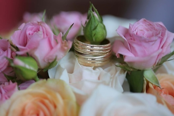 buquê de casamento, anel de casamento, par, feito à mão, ouro, perto, jóias, decoração, rosa, flor