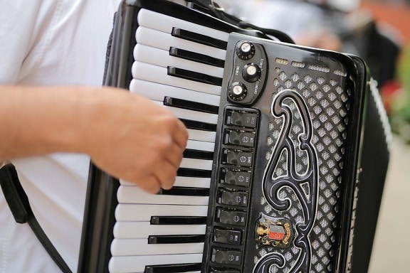 musician, accordion, close-up, music, instrument, sound, classic, electronics, indoors, equipment