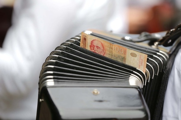 accordion, banknote, money, entertainment, cash, entertainer, musician, indoors, business, old