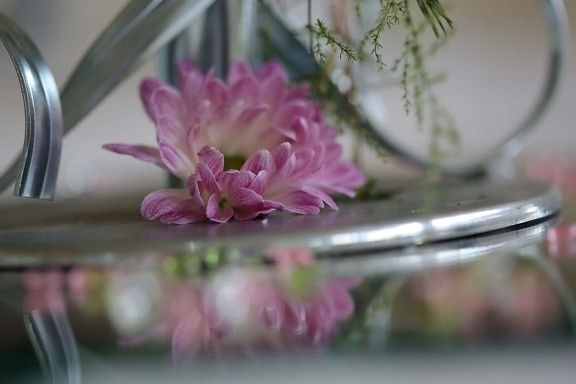 close-up, decoration, metallic, flowers, pinkish, petals, purplish, pink, flower, petal