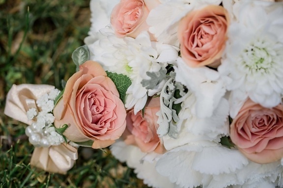pinkish, bouquet, roses, close-up, pastel, romance, rose, groom, flower, nature