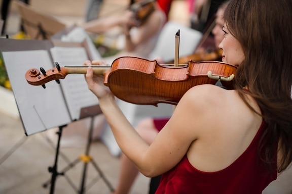 vista lateral, mujer joven, vertical, maravilloso, jugando, armonía, violín, música, músico, instrumento
