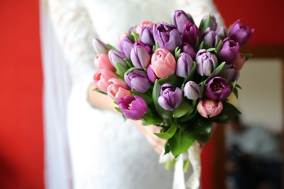 Rosa, Blumenstrauß, violett, Tulpe, Romantik, Blume, Frühling, Rosa, Anordnung, Liebe