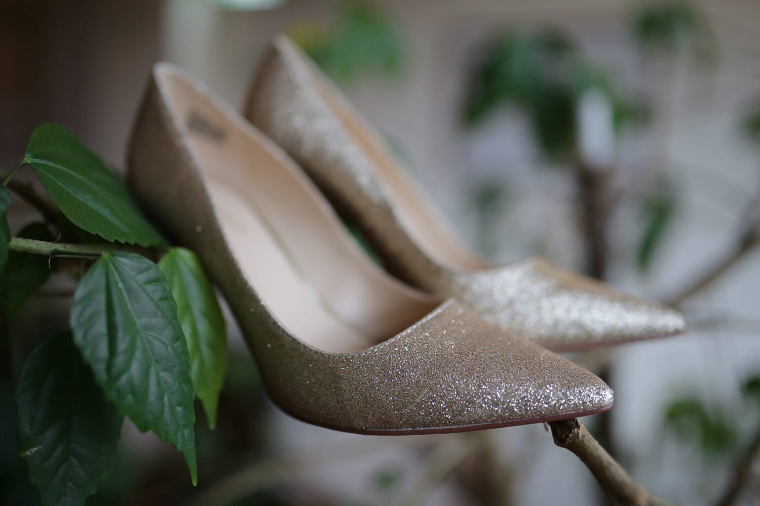 elegant, sandal, branchlet, branches, fashion, blur, leaf, footwear, still life, close-up