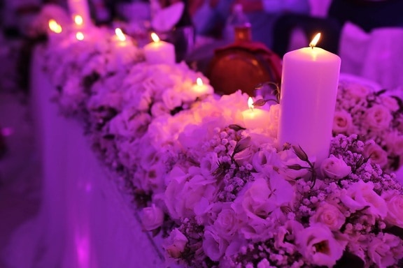 candles, aromatic, decoration, flower, candle, pink, flame, candlelight, celebration, light