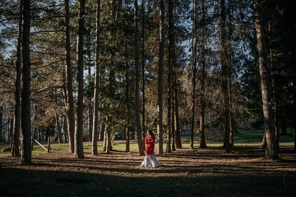 forest, alone, young woman, red, coat, jacket, shadow, conifers, birch, landscape