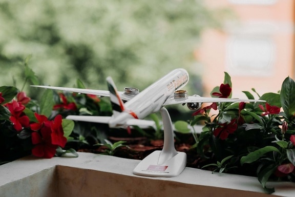 aeroplano, miniature, avion, jouet, bague de mariage, anneaux, pot de fleurs, balcon, jardin fleuri, fleur