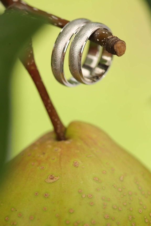 jewelry, rings, gold, pear, hanging, branchlet, fruit tree, tree, fruit, sweet